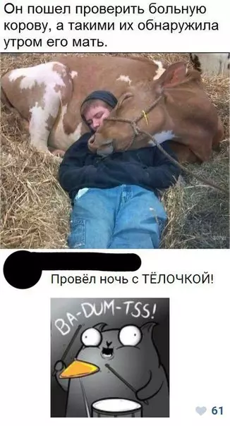 Смешная картинка №228618