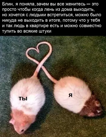 Смешная картинка №764597