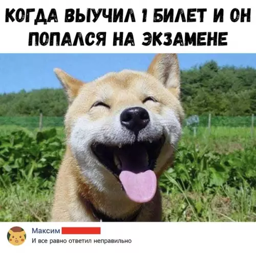 Смешная картинка №360585 экзамены