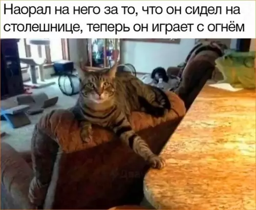 Смешная картинка №737128 А что ты мне сделаешь, раб
