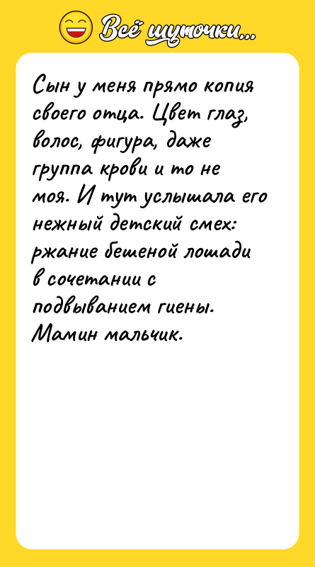 Сын у меня прямо копия своего отца. Цвет глаз, волос,