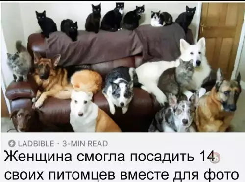 Смешная картинка №616861 Новости, которые мы заслужили: