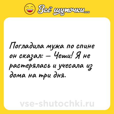 Шутка: Погладила мужа по спине он сказал: — Чеши! Я не растерялась и учесала из дома на три дня.