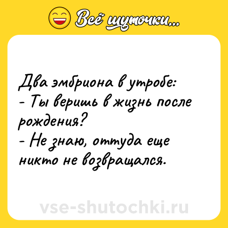Шутка: Два эмбриона в утробе: <br>- Ты веришь в жизнь после рождения? <br>- Не знаю, оттуда еще никто не возвращался.