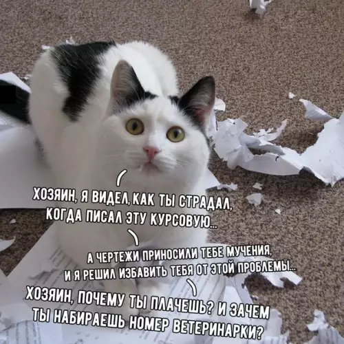 Смешная картинка №248954