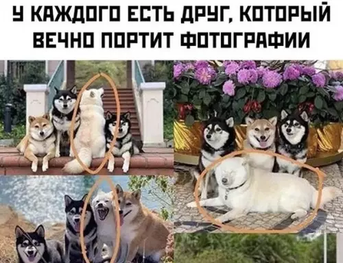 Смешная картинка №480216