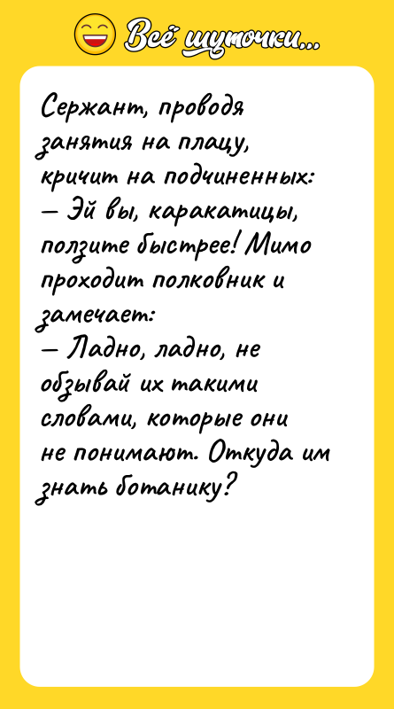 Сержант, проводя занятия на плацу, кричит на подчиненных: — Эй