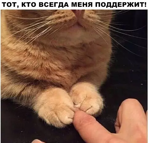 Смешная картинка №289067
