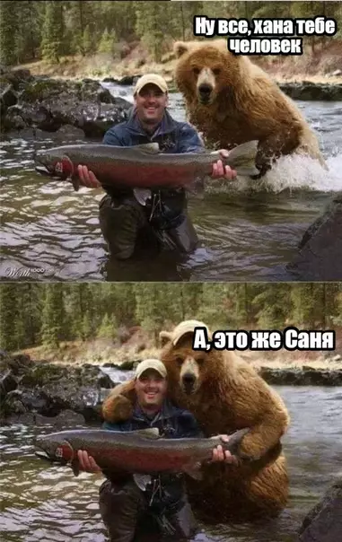 Смешная картинка №318220 Встретил друга