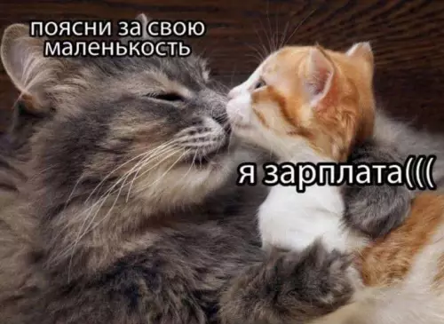Смешная картинка №735667