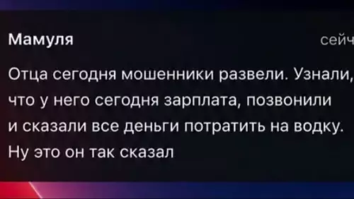 Батя — мастер маскировки! 😂 - Мамуля Отца сегодня мошенники развели. Узнали, что у него сегодня