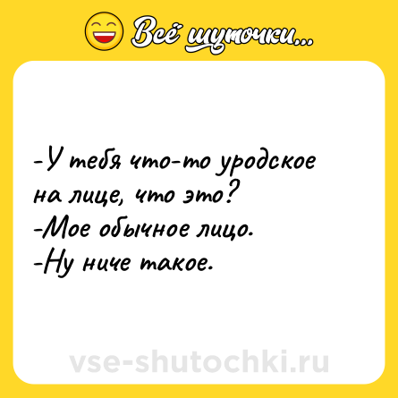 Шутка: -У тебя что-то уродское на лице, что это?  <br>-Мое обычное лицо. <br>-Ну ниче такое.