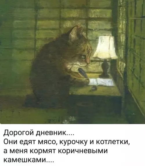 Смешная картинка №735324