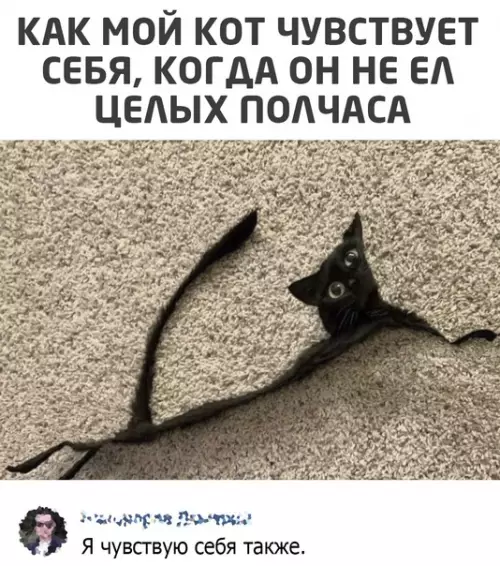 Смешная картинка №579856