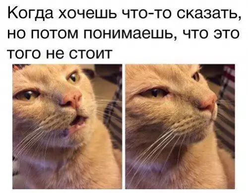 Смешная картинка №208218