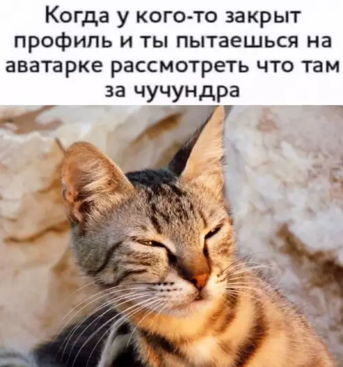 Смешная картинка №711742