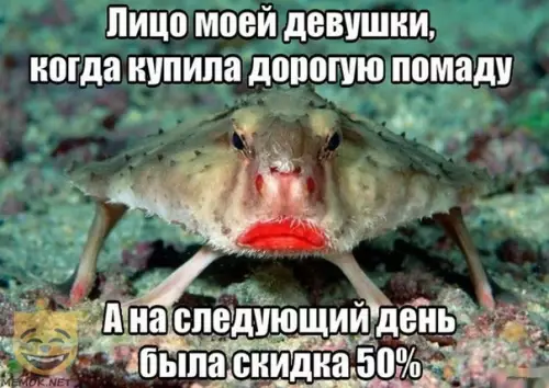 Смешная картинка №354852 #приколы #картинки #мемы ?