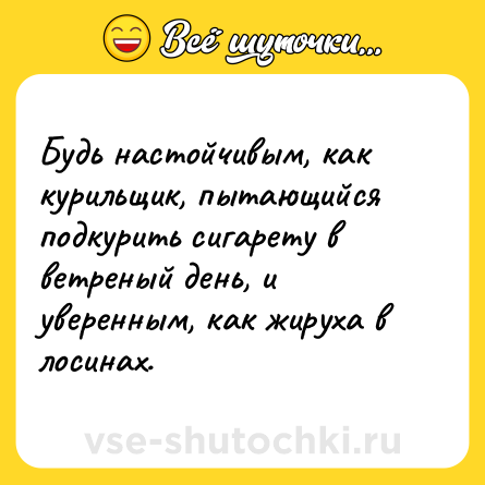 Шутка: Будь настойчивым, как курильщик, пытающийся подкурить сигарету в ветреный день, и уверенным, как жируха в лосинах.
