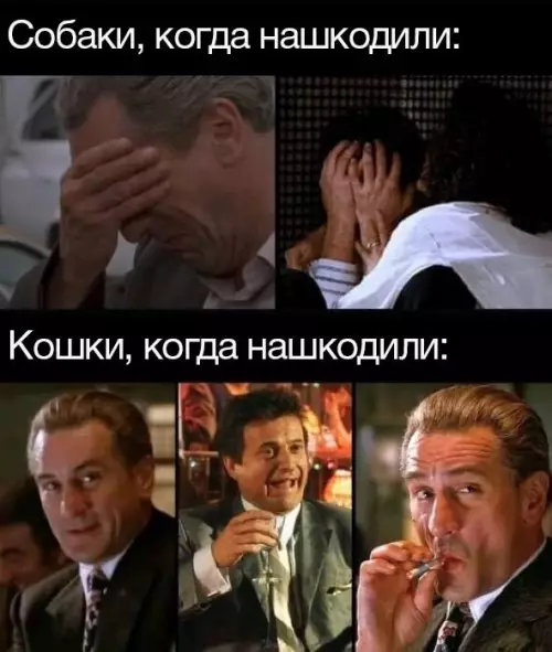 Смешная картинка №703945