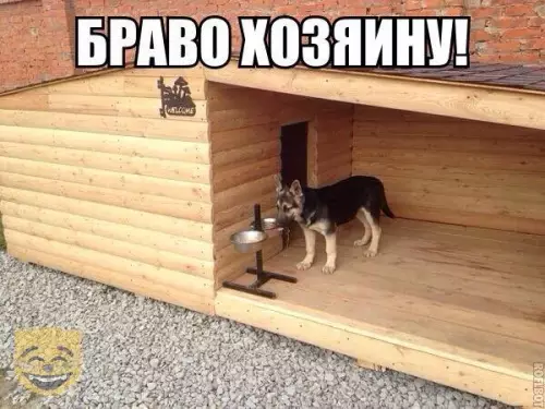Смешная картинка №324365