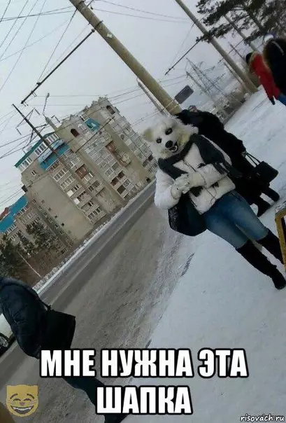Смешная картинка №325849