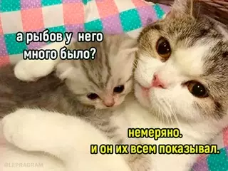 продолжение Смешная картинка №717125