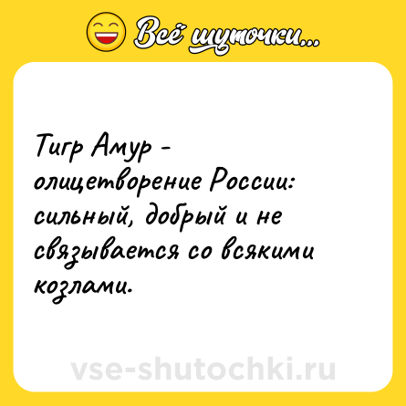 Шутка: Тигр Амур - олицетворение России: сильный, добрый и не связывается со всякими козлами.
