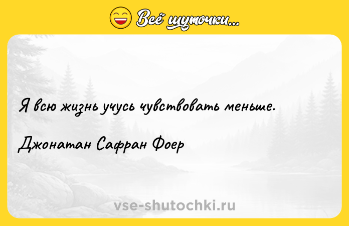 Цитата: Я всю жизнь учусь чувствовать меньше. Джонатан Сафран Фоер