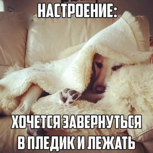 Смешная картинка №206920