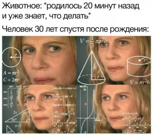 Смешная картинка №657890