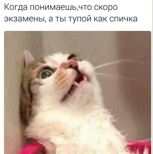 Смешная картинка №220977