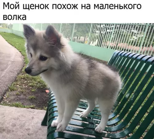 Смешная картинка №283189