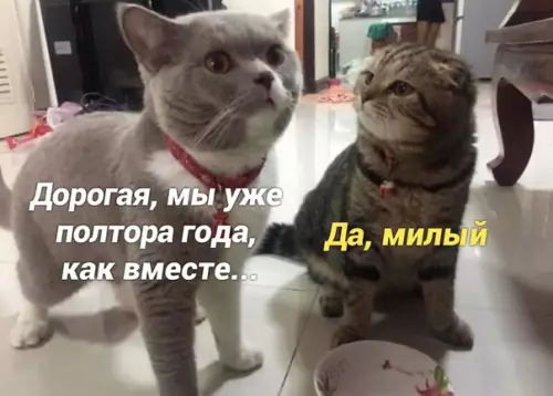 Смешная картинка №520188