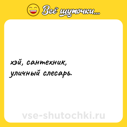 Шутка: хэй, сантехник, <br>уличный слесарь.