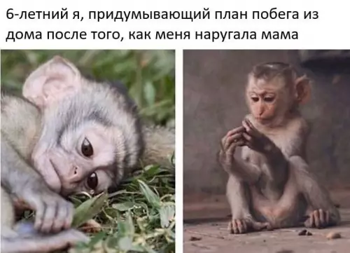 Смешная картинка №672535