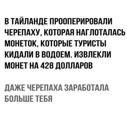 Смешная картинка №197916