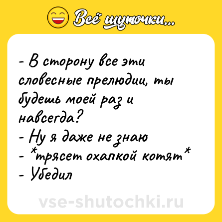 Шутка: - В сторону все эти словесные прелюдии, ты будешь моей раз и навсегда?<br>- Ну я даже не знаю<br>- *трясет охапкой котят*<br>- Убедил
