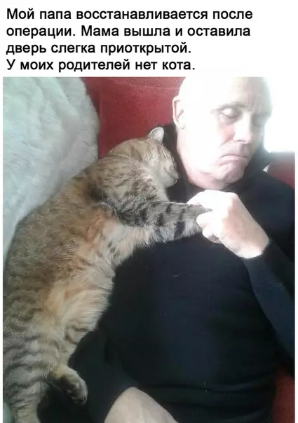 Смешная картинка №525149 Теперь у кота есть папа!