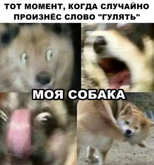 Смешная картинка №295830