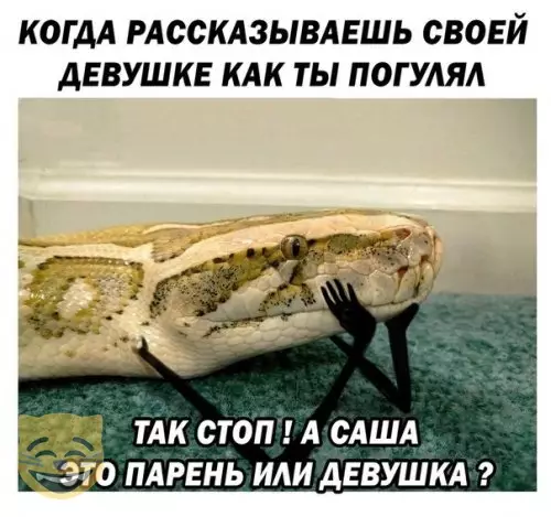 Смешная картинка №343536 #приколы #картинки #мемы ?