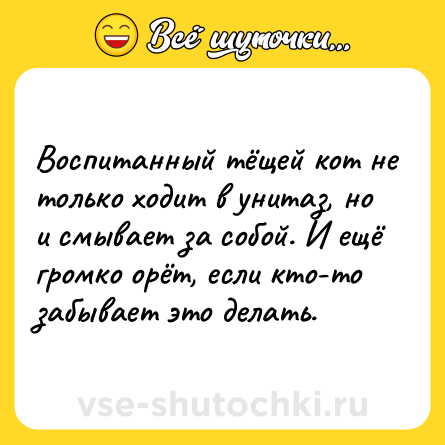 Шутка: Воспитанный тёщей кот не только ходит в унитаз, но и смывает за собой. И ещё громко орёт, если кто-то забывает это делать.