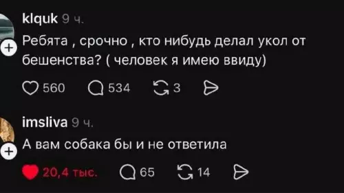 Когда спросил у собаки совет 😂 - klquk: Ребята , срочно , кто нибудь делал укол от