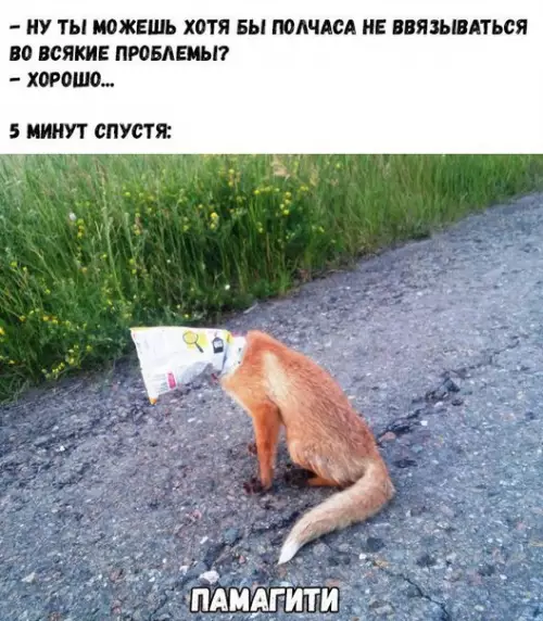 Смешная картинка №194584
