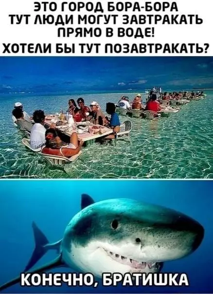 Смешная картинка №662826