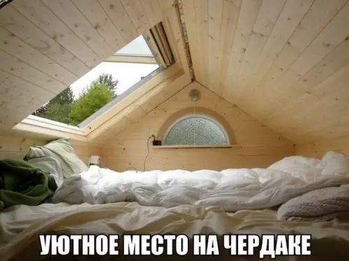 Смешная картинка №278146 Наверно это рай