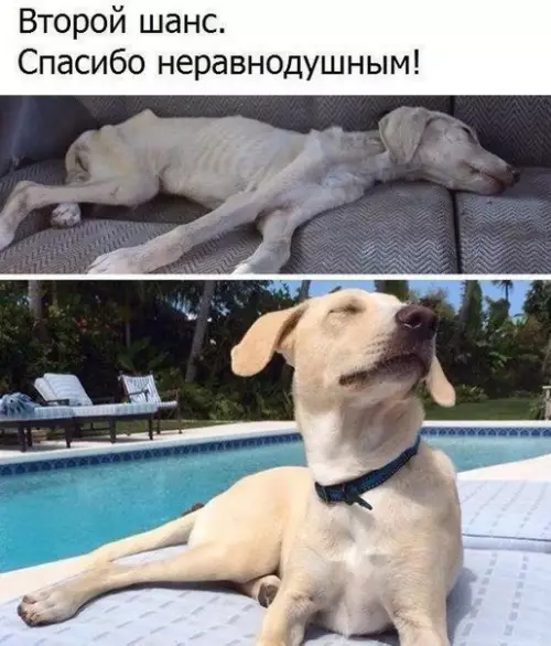 Смешная картинка №227818