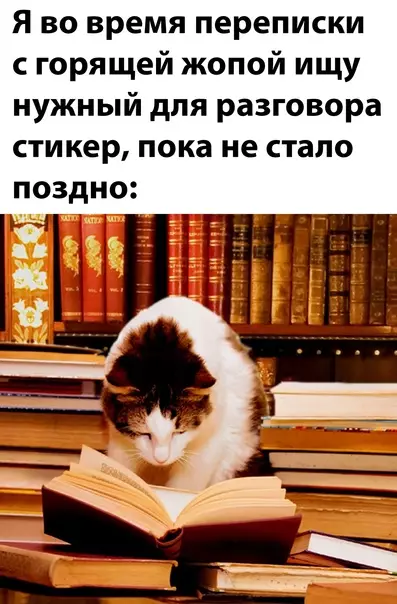 Смешная картинка №624157