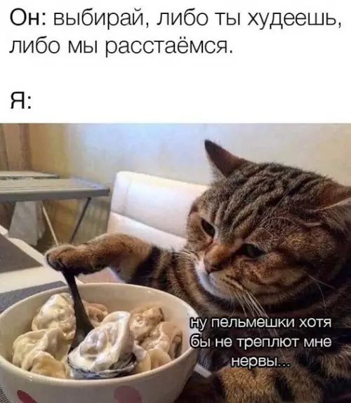 Смешная картинка №535812 Выбop очeвидeн.
