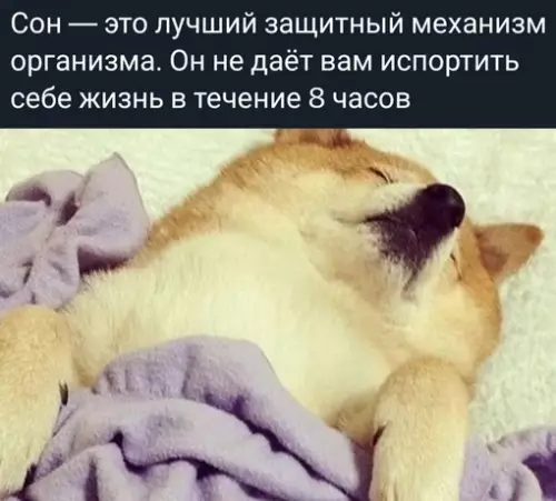 Смешная картинка №691289