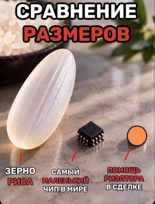 Масштаб проблемы: рис vs риелтор 😅 - СРАВНЕНИЕ РАЗМЕРОВ ЗЕРНО РИСА САМЫЙ МАЛЕНЬКИЙ ЧИП В МИРЕ ПОМОЩЬ